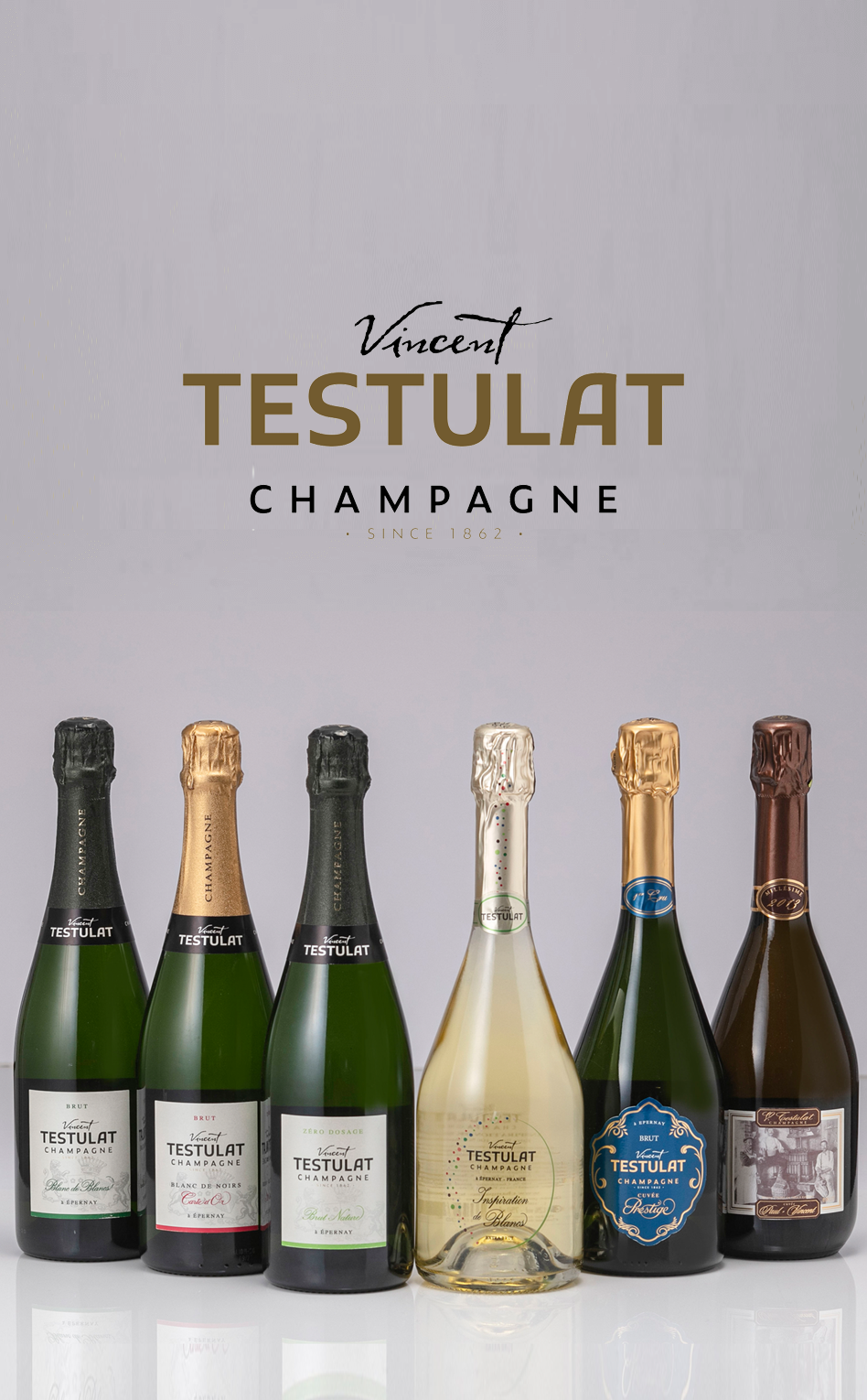 株式会社スターリアン バナー画像sp1